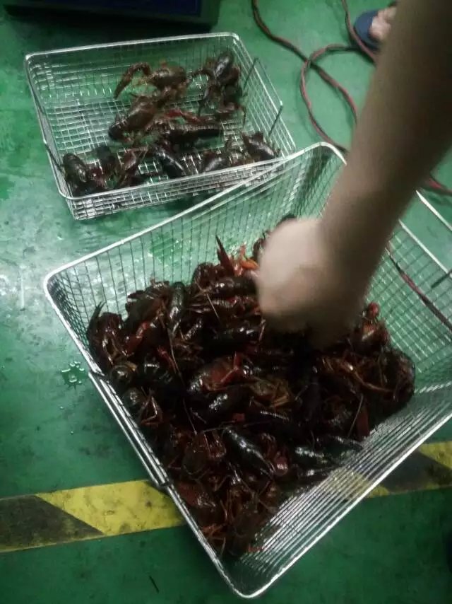 小龍蝦超聲波清洗機洗蝦機